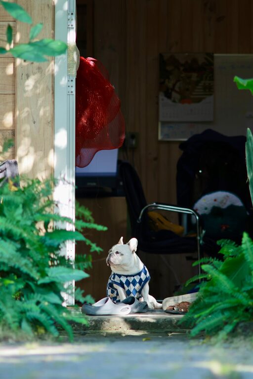 Evde Dinlendirici Bir Gün Planlamak İçin Altın Öneriler